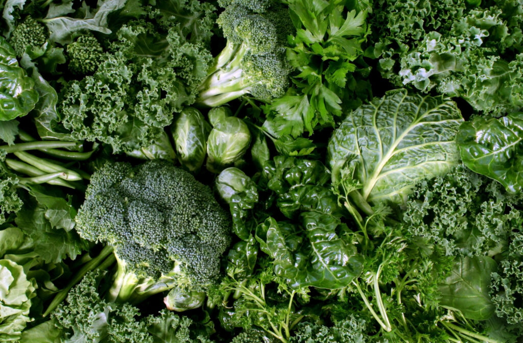 A variety of leafy green vegetables