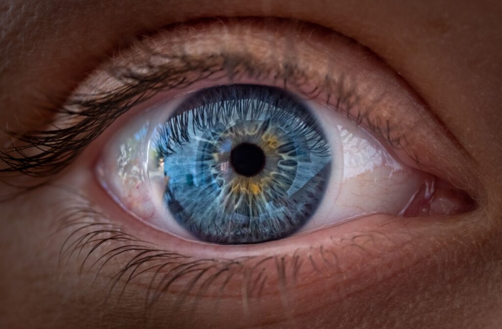 A closeup shot shows a person staring into the camera with bright blue eyes framed by dark eyelashes.